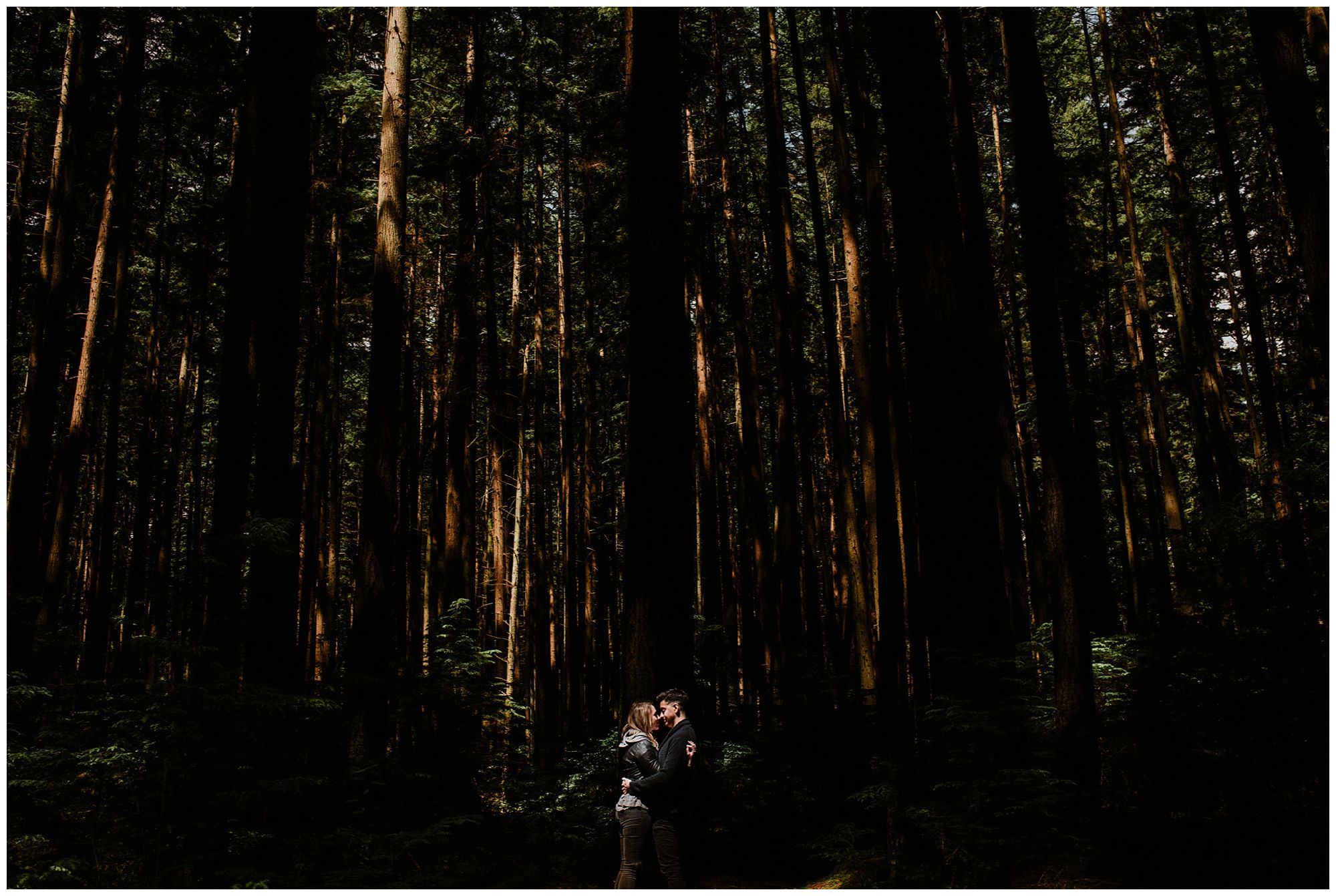 Vancouver wedding photographers, forest engagement photos
